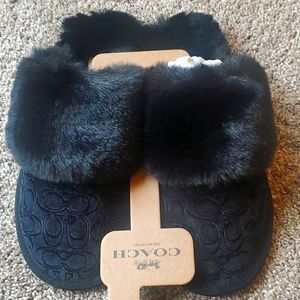 Coach Slippers